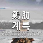 鷄肋(계륵)의 뜻과 관련 한자어