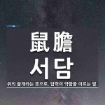 鼠膽(서담)의 뜻과 관련 한자어