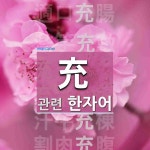 充(찰 충,채울 충)에 관한 한자/한자성어/사자성어 8개  充(찰 충,채울 충)에 관한 한자/한자성어/사자성어 8개