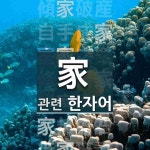 家(집 가,마나님 고,계집 고)에 관한 한자/한자성어/사자성어 99개  家(집 가,마나님 고,계집 고)에 관한 한자/한자성어/사자성어 99개