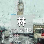 林(수풀 림)에 관한 한자/한자성어/사자성어 23개  林(수풀 림)에 관한 한자/한자성어/사자성어 23개