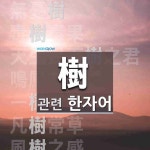 樹(나무 수,심을 수)에 관한 한자/한자성어/사자성어 24개  樹(나무 수,심을 수)에 관한 한자/한자성어/사자성어 24개