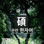 碩(클 석)에 관한 한자/한자성어/사자성어 1개  碩(클 석)에 관한 한자/한자성어/사자성어 1개