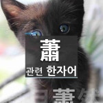 蕭(쑥 소,쓸쓸할 소,맑은대쑥 소)에 관한 한자/한자성어/사자성어 1개  蕭(쑥 소,쓸쓸할 소,맑은대쑥 소)에 관한 한자/한자성어/사자성어 1개