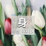 身(몸 신,나라 이름 연,나라 이름 건)에 관한 한자/한자성어/사자성어 78개  身(몸 신,나라 이름 연,나라 이름 건)에 관한 한자/한자성어/사자성어... 