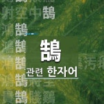 鵠(고니 곡,고니 혹,정곡 곡,넓을 호,과녁 곡,학 학)에 관한 한자/한자성어/사자성어 8개  鵠(고니 곡,고니 혹,정곡 곡,넓을 호,과녁 곡,학 학)에... 
