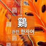 鷄(닭 계)에 관한 한자/한자성어/사자성어 43개  鷄(닭 계)에 관한 한자/한자성어/사자성어 43개
