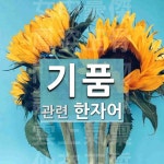 기품에 관한 한자/한자성어/사자성어 6개  기품에 관한 한자/한자성어/사자성어 6개