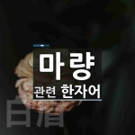 마량에 관한 한자/한자성어/사자성어 2개  마량에 관한 한자/한자성어/사자성어 2개