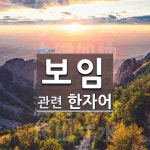 보임에 관한 한자/한자성어/사자성어 7개  보임에 관한 한자/한자성어/사자성어 7개