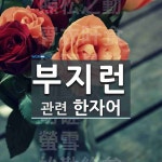 부지런에 관한 한자/한자성어/사자성어 9개  부지런에 관한 한자/한자성어/사자성어 9개