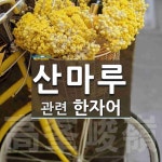 산마루에 관한 한자/한자성어/사자성어 2개  산마루에 관한 한자/한자성어/사자성어 2개