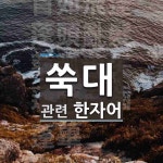 쑥대에 관한 한자/한자성어/사자성어 6개  쑥대에 관한 한자/한자성어/사자성어 6개