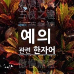 예의에 관한 한자/한자성어/사자성어 41개  예의에 관한 한자/한자성어/사자성어 41개