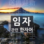 임자에 관한 한자/한자성어/사자성어 6개  임자에 관한 한자/한자성어/사자성어 6개