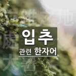 입추에 관한 한자/한자성어/사자성어 3개  입추에 관한 한자/한자성어/사자성어 3개