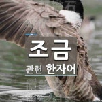조금에 관한 한자/한자성어/사자성어 96개  조금에 관한 한자/한자성어/사자성어 96개