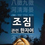 조짐에 관한 한자어 14개: 鳳皇來儀(봉황래의): 봉황이 와서 의