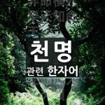 천명에 관한 한자/한자성어/사자성어 12개  천명에 관한 한자/한자성어/사자성어 12개