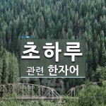 초하루에 관한 한자/한자성어/사자성어 2개  초하루에 관한 한자/한자성어/사자성어 2개