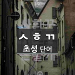 초성 ㅅㅎㄲ 단어