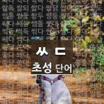 초성 ㅆㄷ(으)로 이루어진 단어 103개