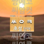 초성 ㅆㅇㅋ 단어