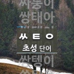 초성 ㅆㅌㅇ(으)로 이루어진 단어 9개