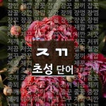 초성 ㅈㄲㅁㄹ 단어