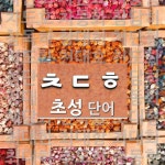 초성 ㅊㄷㅎ(으)로 이루어진 단어 30개