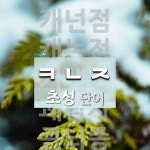초성 ㅋㄴㅈ(으)로 이루어진 단어 6개