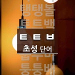 초성 ㅌㅌㅂ(으)로 이루어진 단어 11개