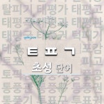 초성 ㅌㅍㄱ(으)로 이루어진 단어 29개