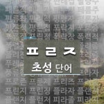 초성 ㅍㄹㅈ(으)로 이루어진 단어 64개