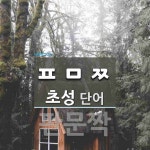 초성 ㅍㅁㅉ(으)로 이루어진 단어 1개