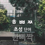 초성 ㅎㅃㅉ(으)로 이루어진 단어 1개