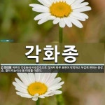 각화종 뜻: 피부의 각질층이 비정상적으로 많아져 피부 표면이 딱딱하고 두껍게 변하는 증상. 손, 발의 각화종 뜻: 피부의 각질층이 비정상적으로... 
