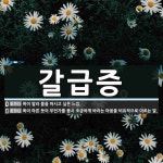 갈급증 뜻