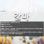 갈마 뜻: 뱃사람들의 말로, ‘서남풍’을 이르는 말., 목이 마른 말., ‘카르마’의 음역어., 수계 [국어 사전]