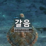 갈음 뜻: 다른 것으로 바꾸어 대신함., 일한 뒤나 외출할 때 갈아입는 옷. [국어 사전]