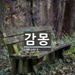 감몽 뜻