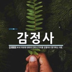 감정사 뜻: 보석 따위에 대하여 진위나 가치를 감별하고 평가하는 사람.