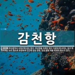 입구 쪽 방파제는 감천항 뜻: 부산광역시 사하구에 있는 항구. 부산항을 이루는 항구 가운데 하나이다. 입구 쪽 방파제는 