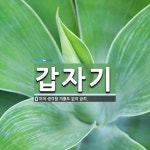 갑자기 뜻: 미처 생각할 겨를도 없이 급히.