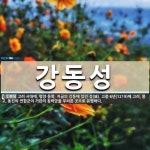 강동성 뜻: 고려 시대에, 평양 동쪽, 지금의 강동에 있던 성(城). 고종 6년(1219)에 고려, 몽