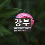 강부 뜻