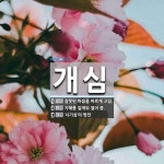 개심 뜻: 잘못된 마음을 바르게 고침., 지혜를 일깨워 열어 줌., ‘시기심’의 방언 [국어 사전]