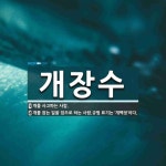 개장수 뜻