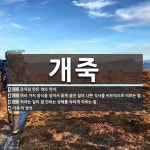 개죽 뜻: 죽처럼 만든 개의 먹이., 여러 가지 음식을 섞어서 묽게 끓인 질이 나쁜 식사를 비유적으로 [국어 사전]