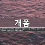 개폼 뜻: 겉멋으로 뻐기면서 취하는 자세나 태도를 낮잡아 이르는 말.... 주로 본인은 멋있다고 생각하나 개폼 뜻: 겉멋으로 뻐기면서 취하는... 